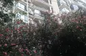 工人新村实景图