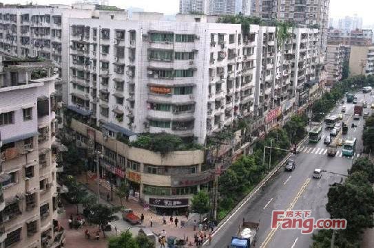 古镇寿城水岸实景图