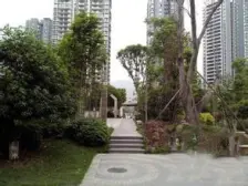 采光相当好,视野舒服,户型方正