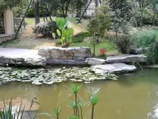 锦春绿岛 3室2厅 南