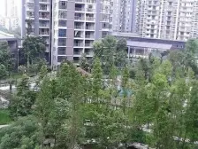 绿岛新区 锦春绿岛新都二房42.8万