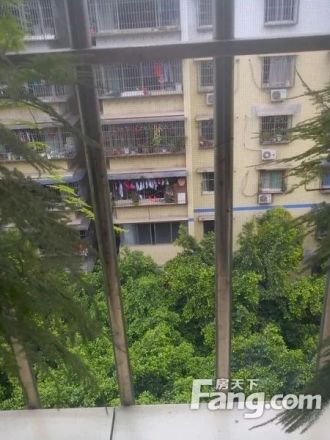 衣服街小区实景图