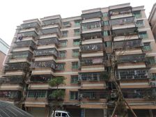 江湾西一苑毛坯低楼层出行方便
