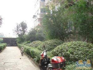 洪港小区南北通透,采光好装修好,环镜优美近地铁视野好,诚心出售