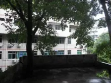 山水嘉年华 3室1厅 东南 南