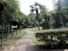 老城区,地段好,临江边,空气好,三室两厅