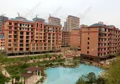 大同天下