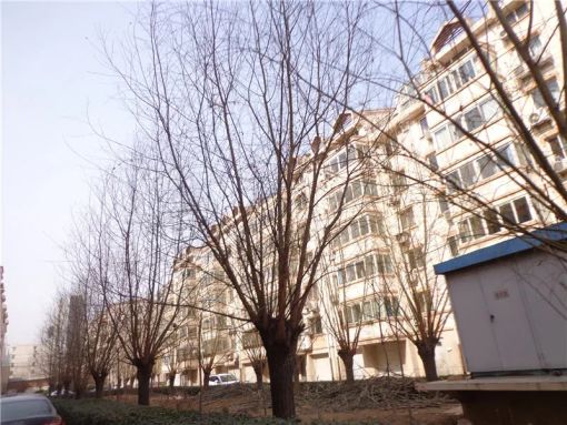  ���⡤��ϻ�԰3��2�� 