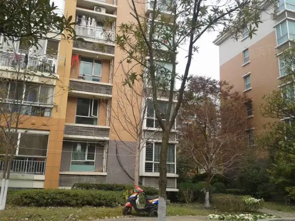 三金福邸实景图