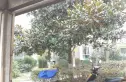 三金福邸实景图