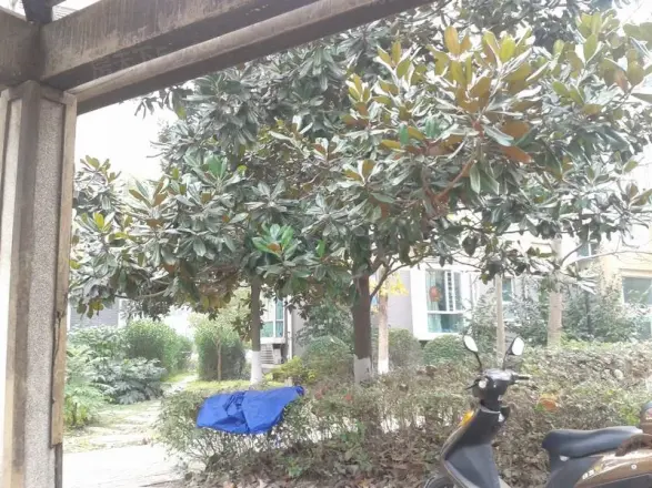 三金福邸实景图