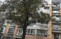 三金福邸实景图