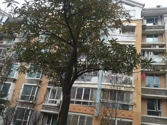 三金福邸实景图