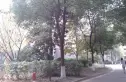 三金福邸实景图