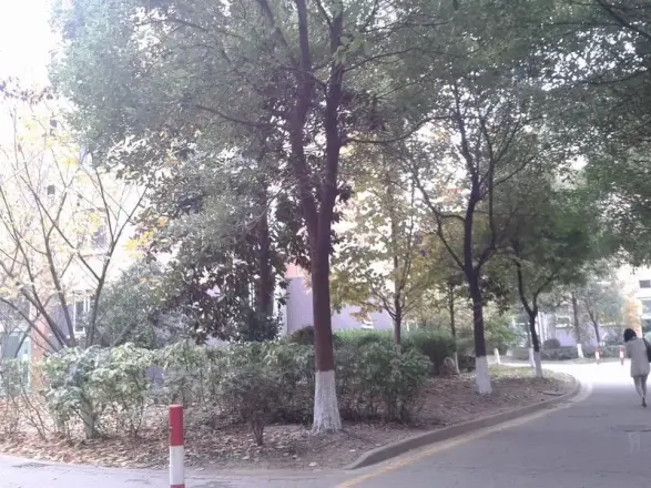 三金福邸实景图