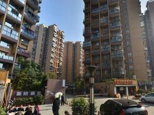 新桥逸景B区1室1厅东南
