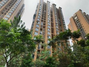 新桥逸景C区3室1厅东东