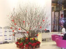 体育路口次新小区繁华地段 高层精装一房一厅