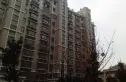 泰山天然居实景图