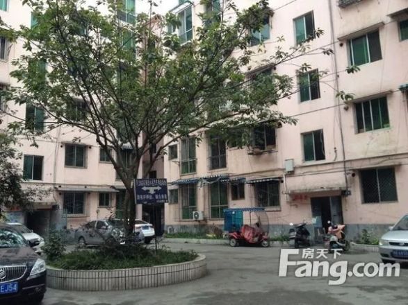 金堂新城市花园实景图