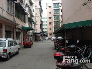 新城市花园3室2厅南