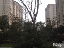 全新精装电梯房,房东诚意售房,随时签约