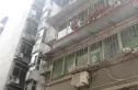 发展大道荷花苑实景图