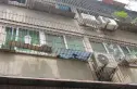 发展大道荷花苑实景图