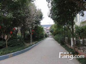 金航花园3室2厅东南