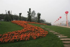 九峰·东方明珠3室2厅东