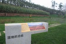 九峰·东方明珠1室1厅北