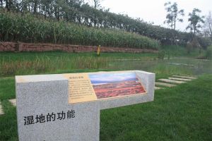 九峰·东方明珠3室1厅东南