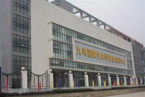 九峰·东方明珠 2室1厅 东