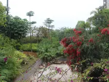 格局方正实用 中间楼层 采光好