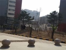 业主诚心出售,价格可议,看房方便。
