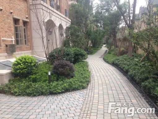  ������������4��2��3���ϱ�����6200.00Ԫ/�³��� 