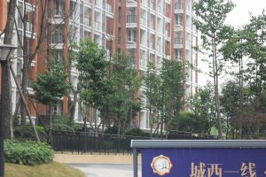 上善天成二期2室1厅南