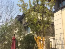 新上好房,2015年纯别墅小区,下叠带地下室和子母车位