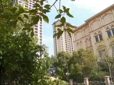 上海星河湾 一期 在售价.格.低 精装大4房 诚意出售