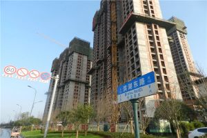 国泰九龙湾4室2厅东南