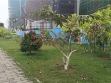 南沙大都汇 2室2厅 北