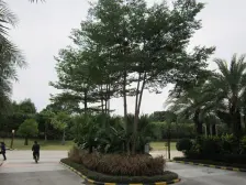 合景誉山国际?区 1室0厅 北