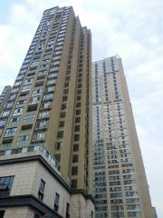 阳光新业 1室1厅 南