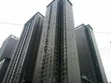 红星国际 1室1厅 东