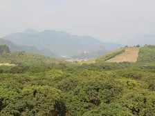 小区绿化十分高,空气环境也很好,很适合居住!