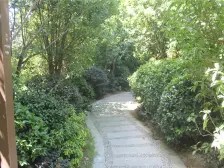 绿地海域观园1室南朝向295.00万元/套出售