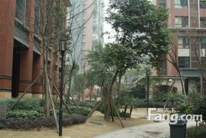 华润二十四城五期3室2厅东南