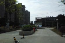 桂湖名城三期 3室1厅 西南