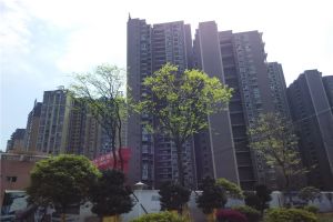 桂湖名城二期3室2厅南