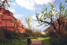 青特赫山65平精装修套二通透户型仅售50万